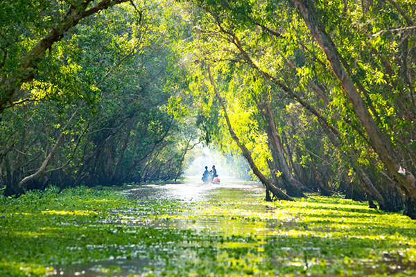 মেকং ডেল্টার প্রাকৃতিক দৃশ্য